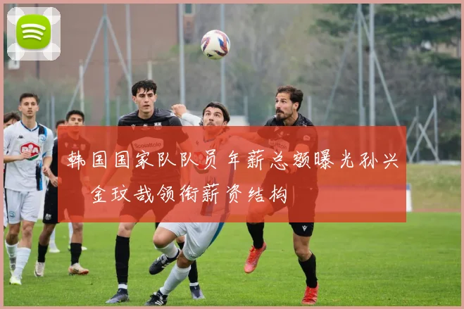 韩国国家队队员年薪总额曝光孙兴慜金玟哉领衔薪资结构