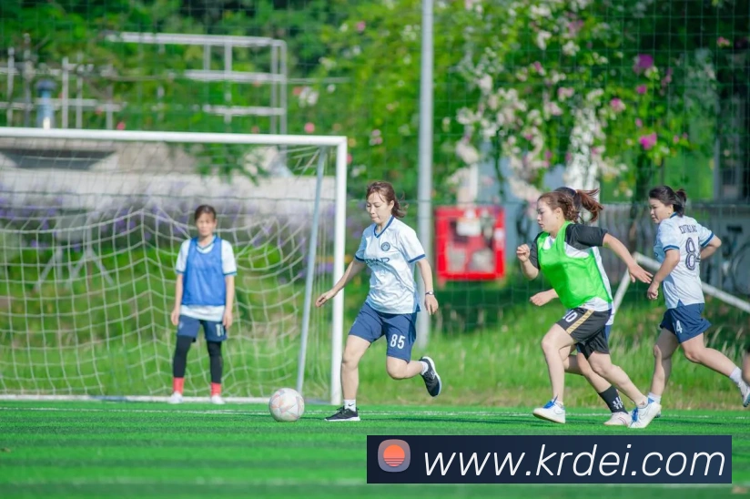 kaiyun开云官方网站平台生态图