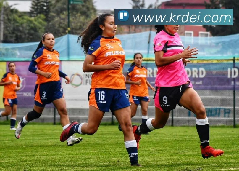 kaiyun开云官方网站APP 封面图